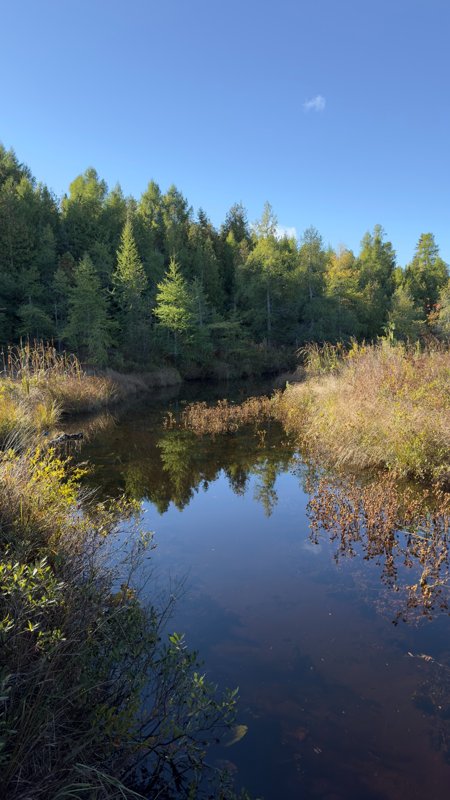 A quiet stream reflecting blue sky and trees along grassy banks