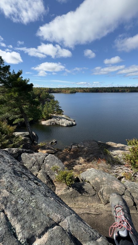 A rocky lakeside lookout with pine trees and a hiking shoe in the foreground