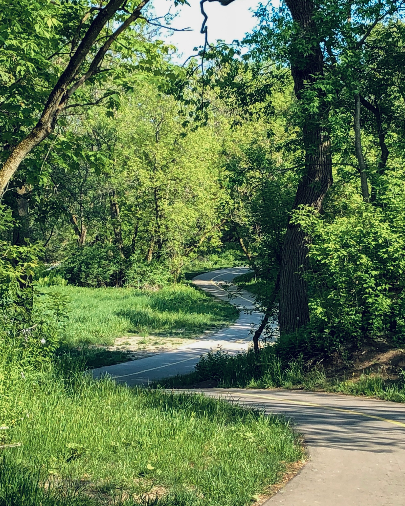 A winding paved pathway through sunlit woodland beside Soper Creek, Bowmanville